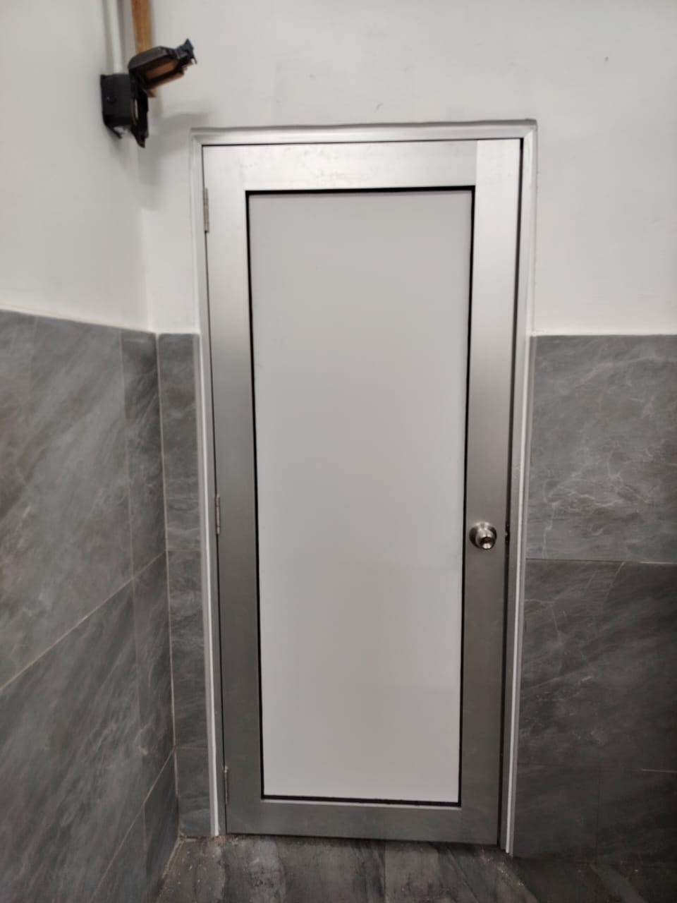 Swing Door